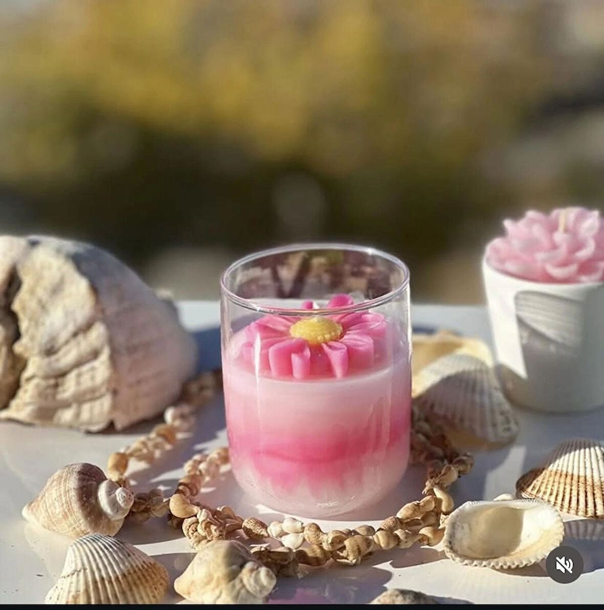 Bambumum papatya rüyası