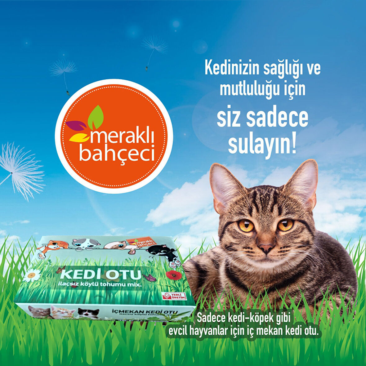 Kedi Otu Kit (Kedi Çimi Set) - Toprak, Saksı, Koruyucu File ve Tohum Seti