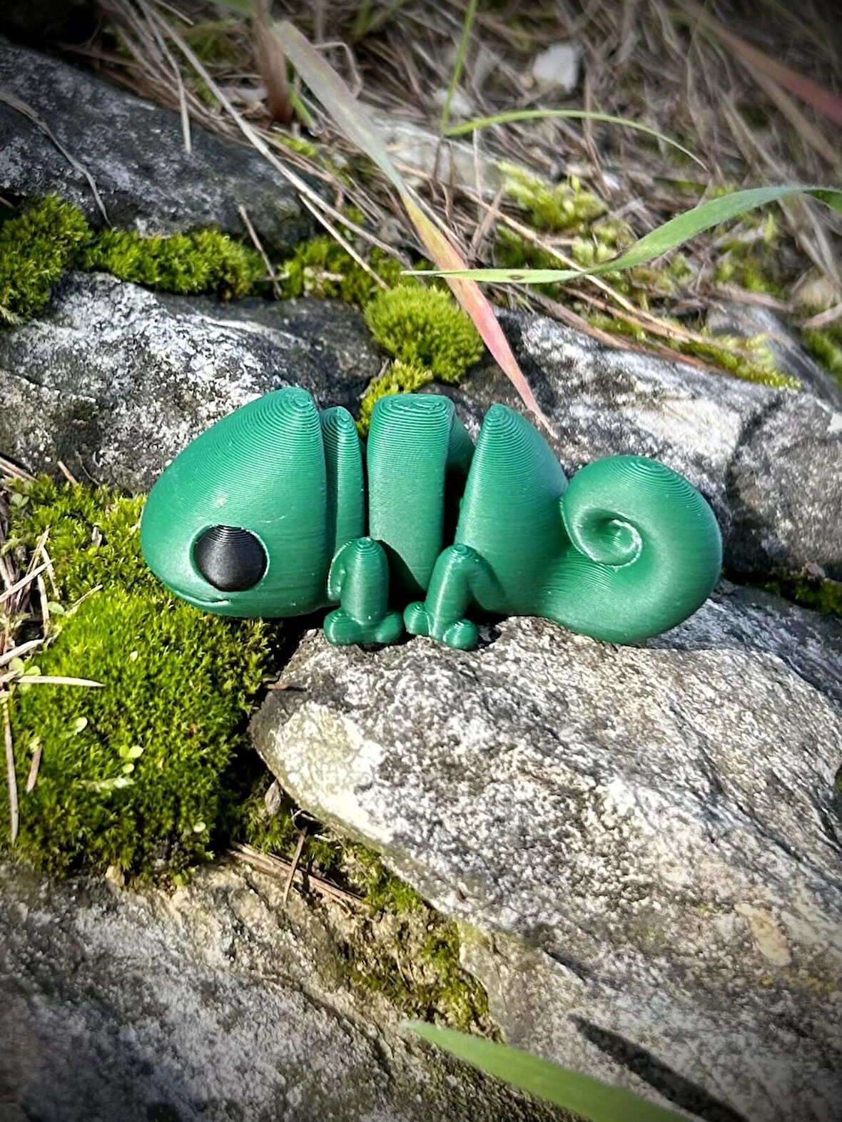 Bukalemun Oyuncak - Doğanın Büyülü Ustası! 🦎🌿✨3D Hareketli Organik Model - Orta Boy