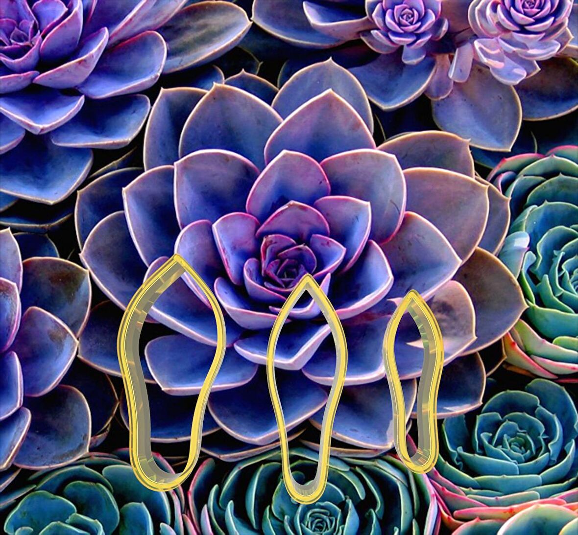 Succulent Çiçek Yapım Seti 3'lü