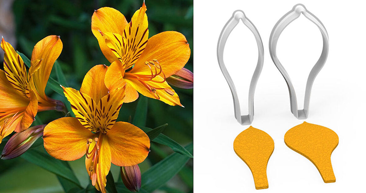 ZAMBAK Yaprak Kesici Set 2’li – 5cm