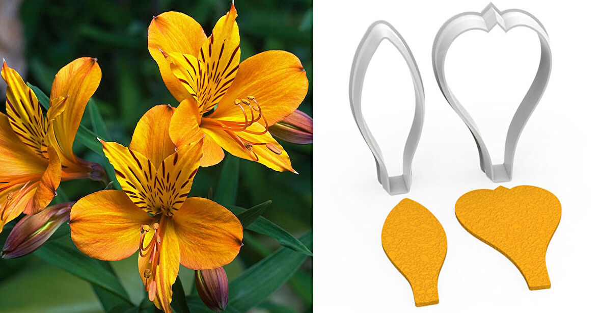 ZAMBAK Çiçek Kesici Set 2’li – 4cm