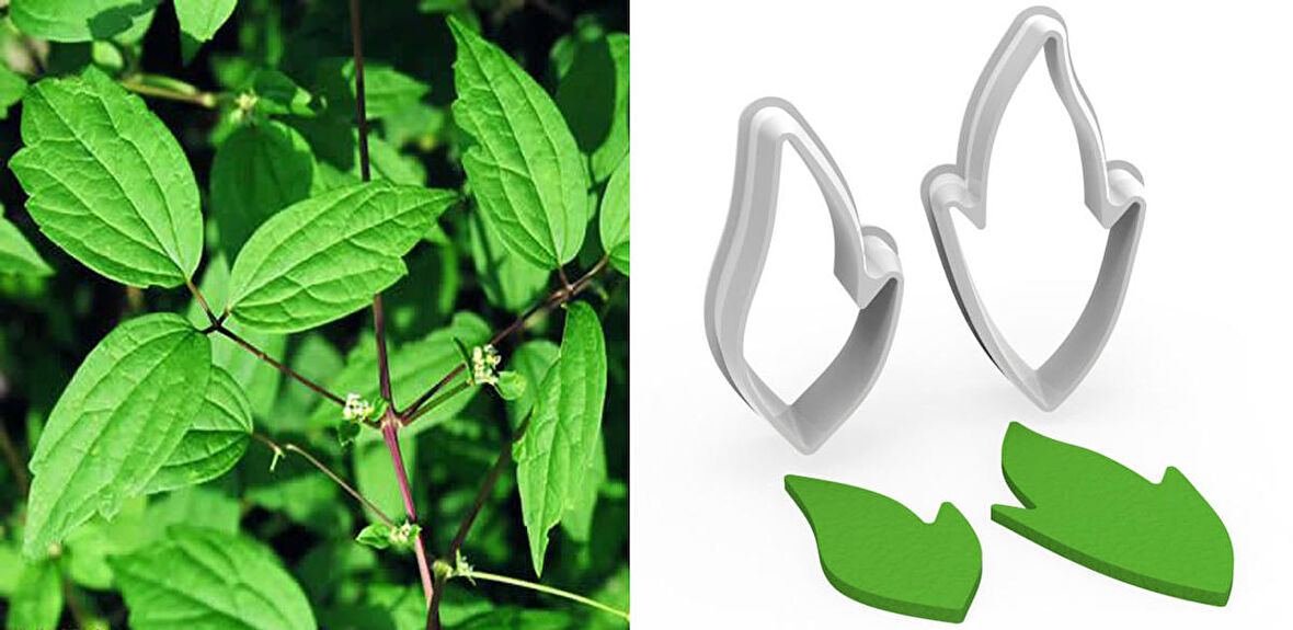 YABANASMASI Yaprak Kesici Set 2’li – 3cm