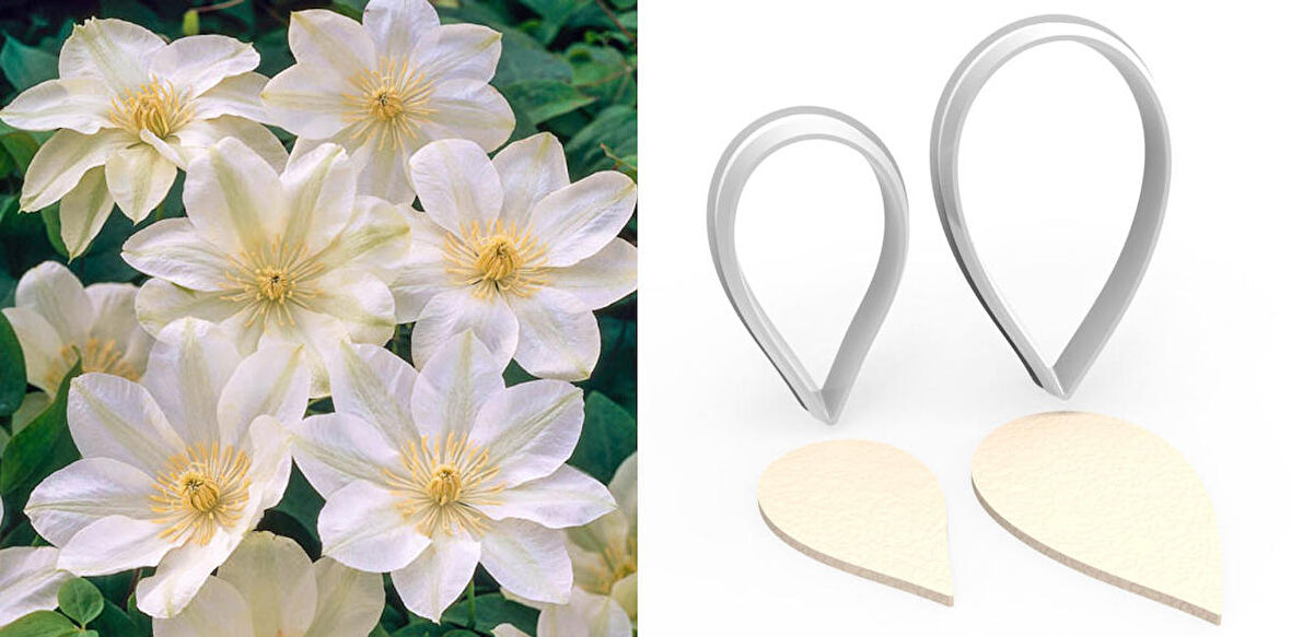 YABANASMASI Çiçek Kesici Set 2’li – 3cm