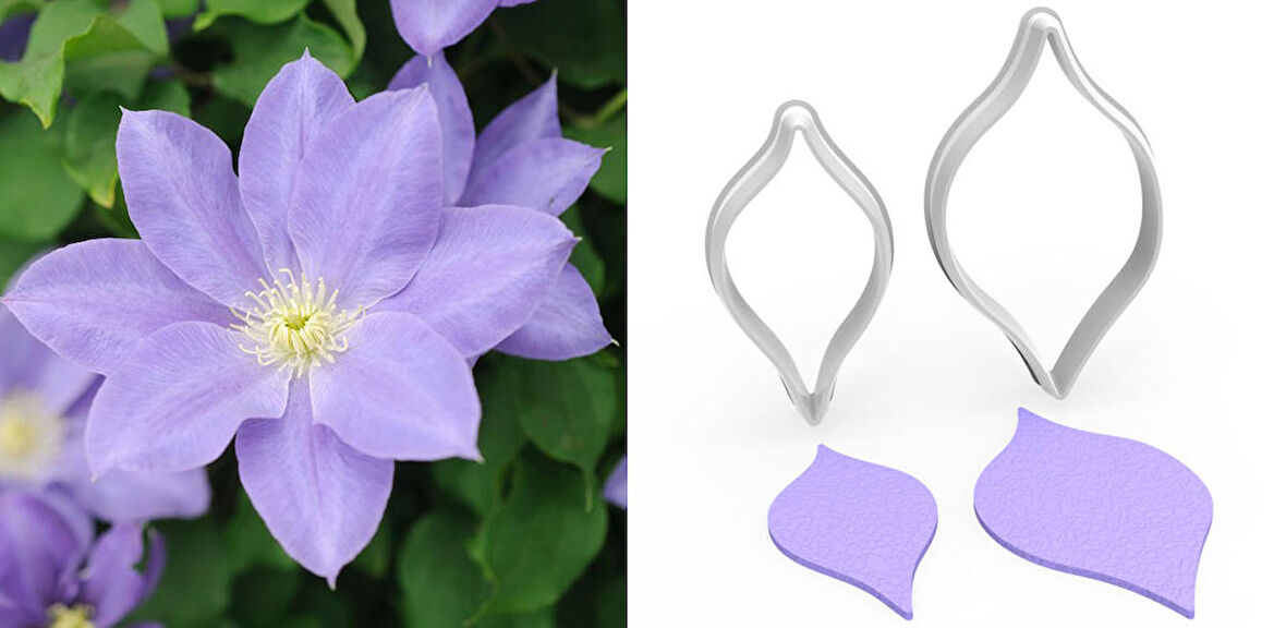YABANASMASI Çiçek Yapım Kesici Set 2’li – 5cm