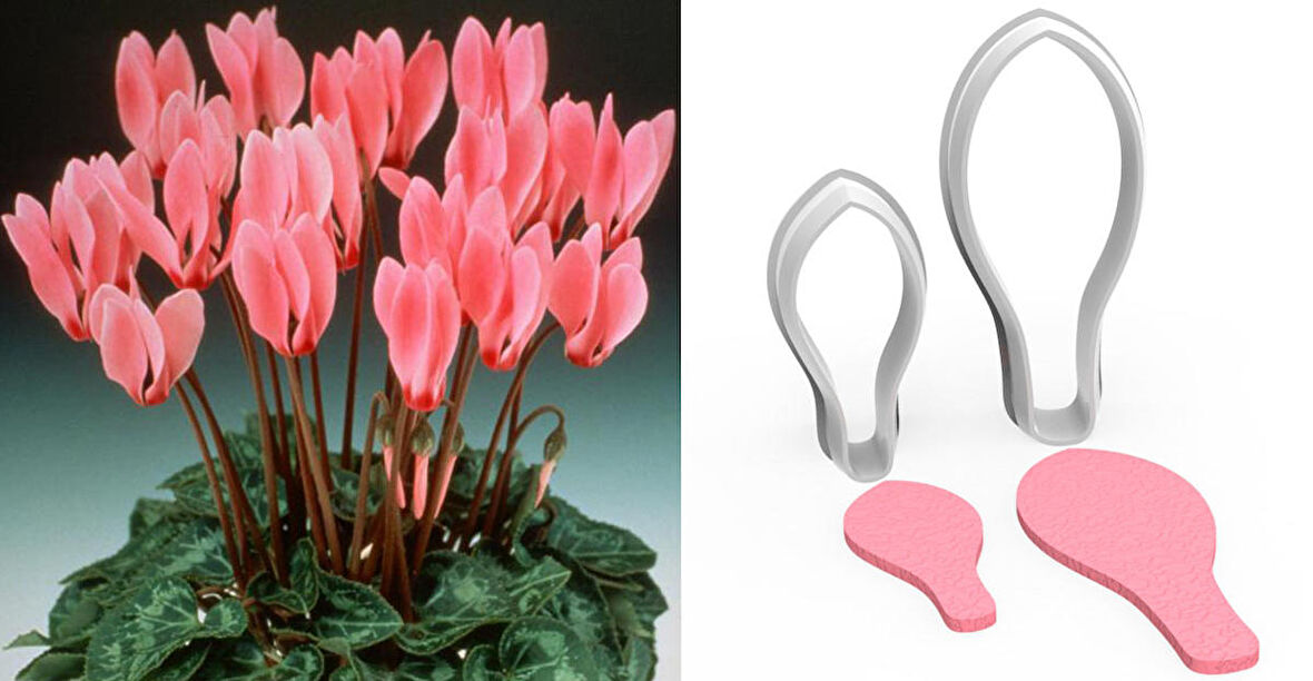 SİKLAMEN BÜYÜK BOY Çiçek Kesici Set 2’li – 7cm