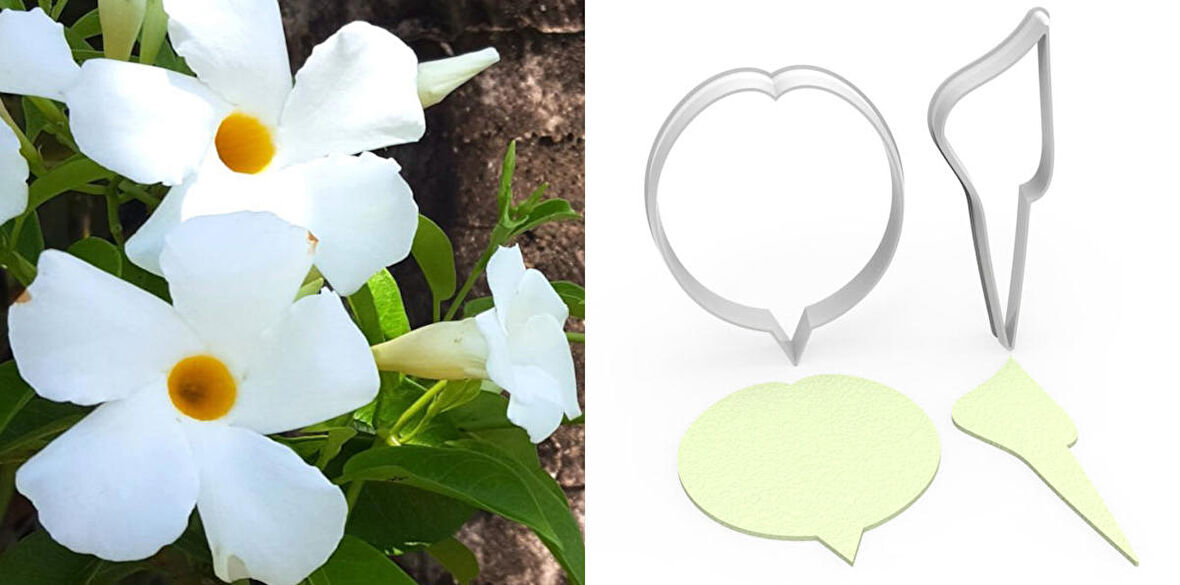 DİPLADENYA Mandevilla Çiçek Kesici Set 2’li – 6cm