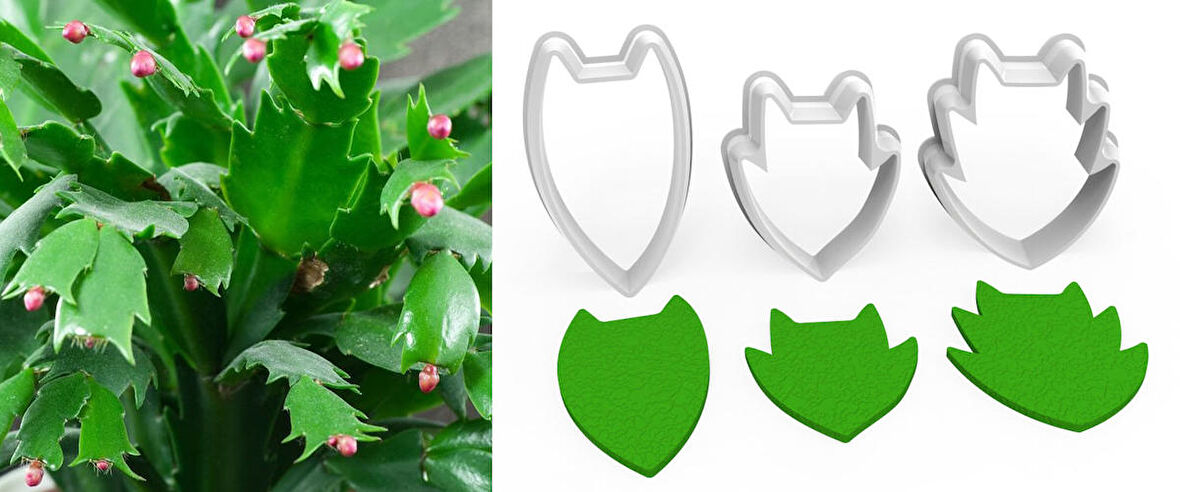 NOEL KAKTÜS Çiçek Yaprak Kesici Set 3’lü – 3cm