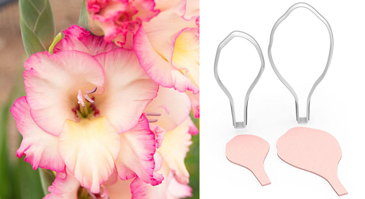 GLADIOLUS Glayöl Çiçek Kesici Set 2’li – 8cm