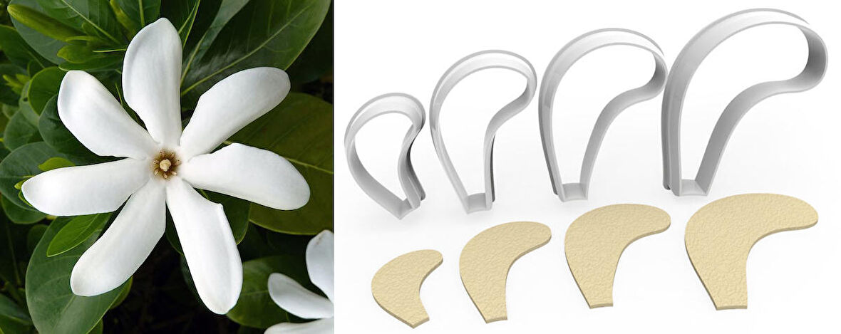 GARDENYA BÜYÜK BOY Çiçek Kesici Set 4’lü – 10cm