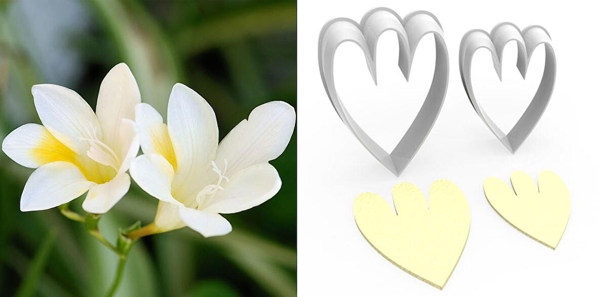 FREZYA Çiçek Yapım Kesici Set 2’li – 4cm