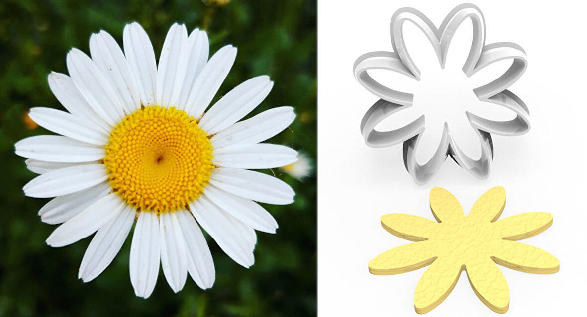 PAPATYA Çiçek Yapım Kesici – 4cm