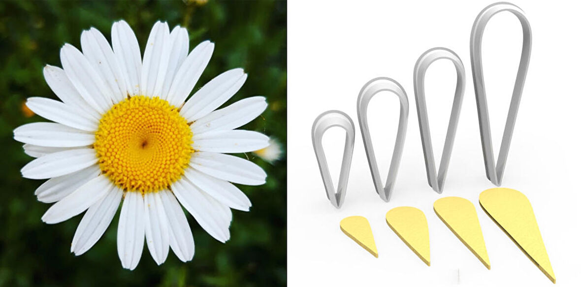 PAPATYA BÜYÜK BOY Çiçek Taç Kesici Set 4’lü – 9cm