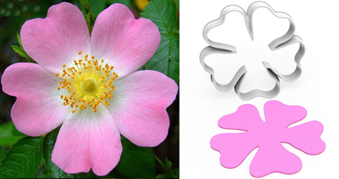 YABAN GÜLÜ Çiçek Yapım Kesici – 5,5cm