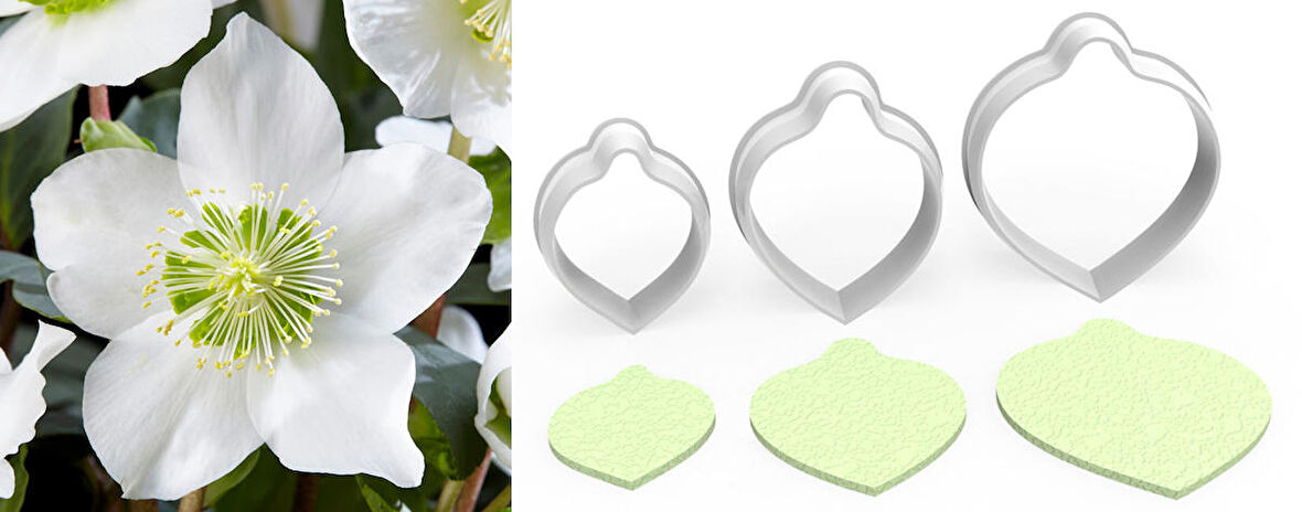 NOEL GÜLÜ Çiçek Kesici Set 3’lü – 3cm