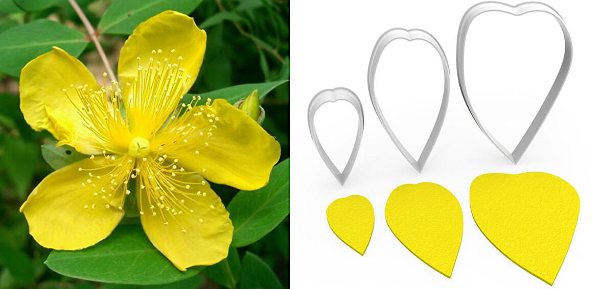 Sarı Kantaron Çiçek Yapım Kesici Set 3’lü – 7cm