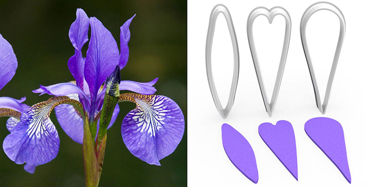 IRIS Çiçek Yaprak Yapım Kesici Set 3’lü – 5cm