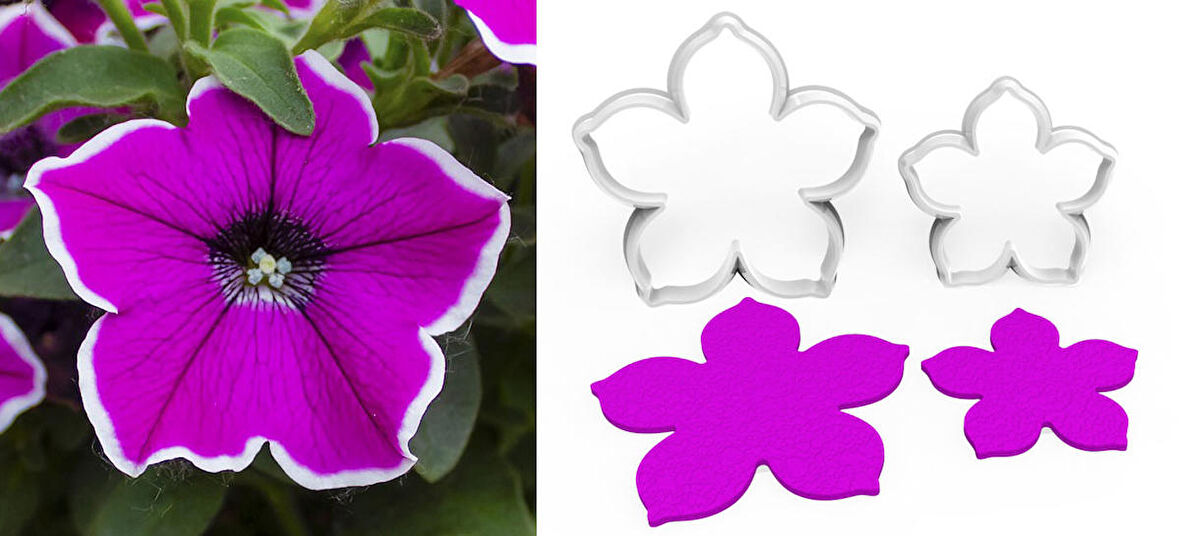 PETUNYA Çiçek Kesici Set 2’li – 4cm