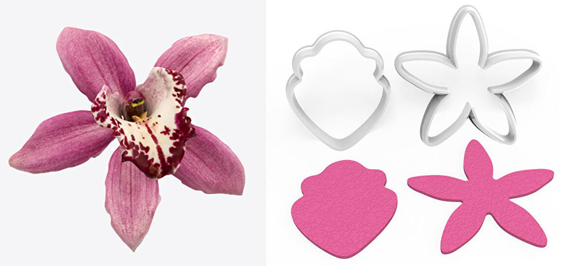 SİMBİDYUM ORKİDE Yapım Kesici Set 2’li – 4cm