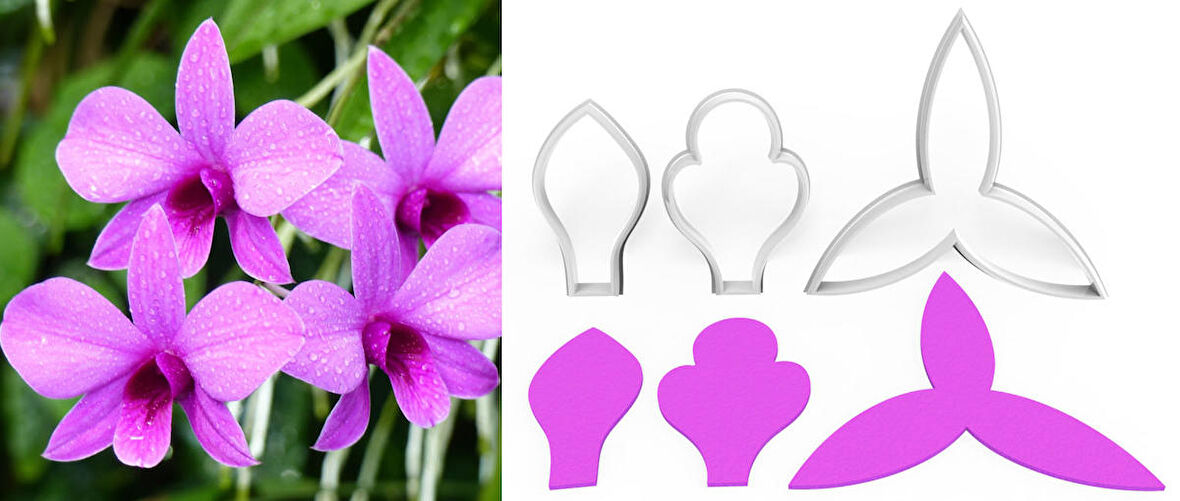 DENDROBIUM ORKİDE Yapım Kesici Set 3’lü – 7cm