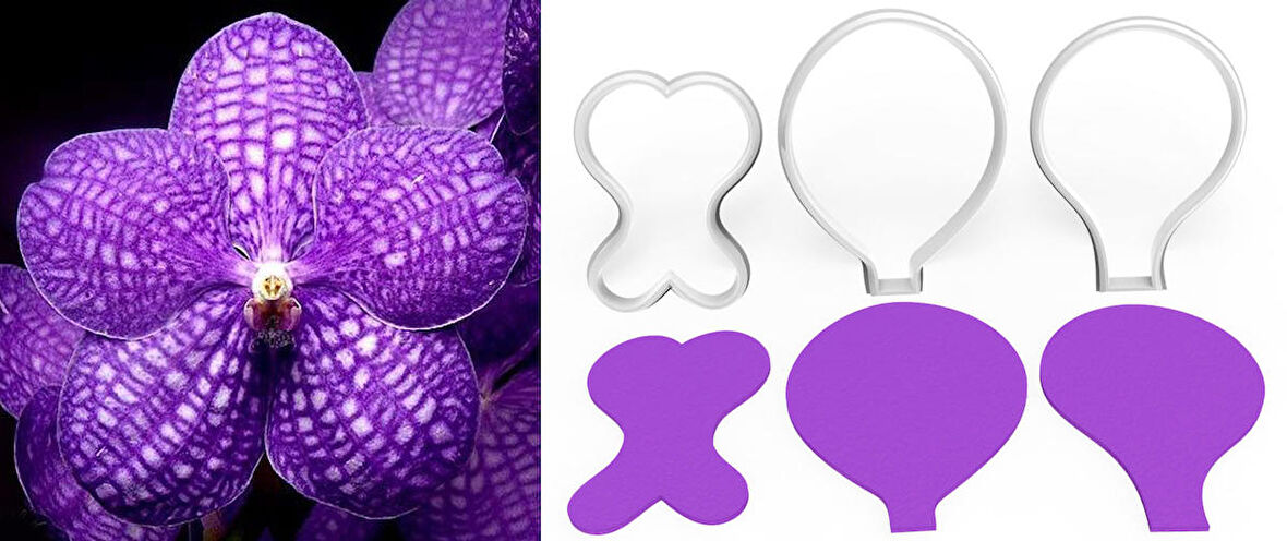 VANDA ORKİDE Yapım Kesici Set 3’lü – 4,5cm