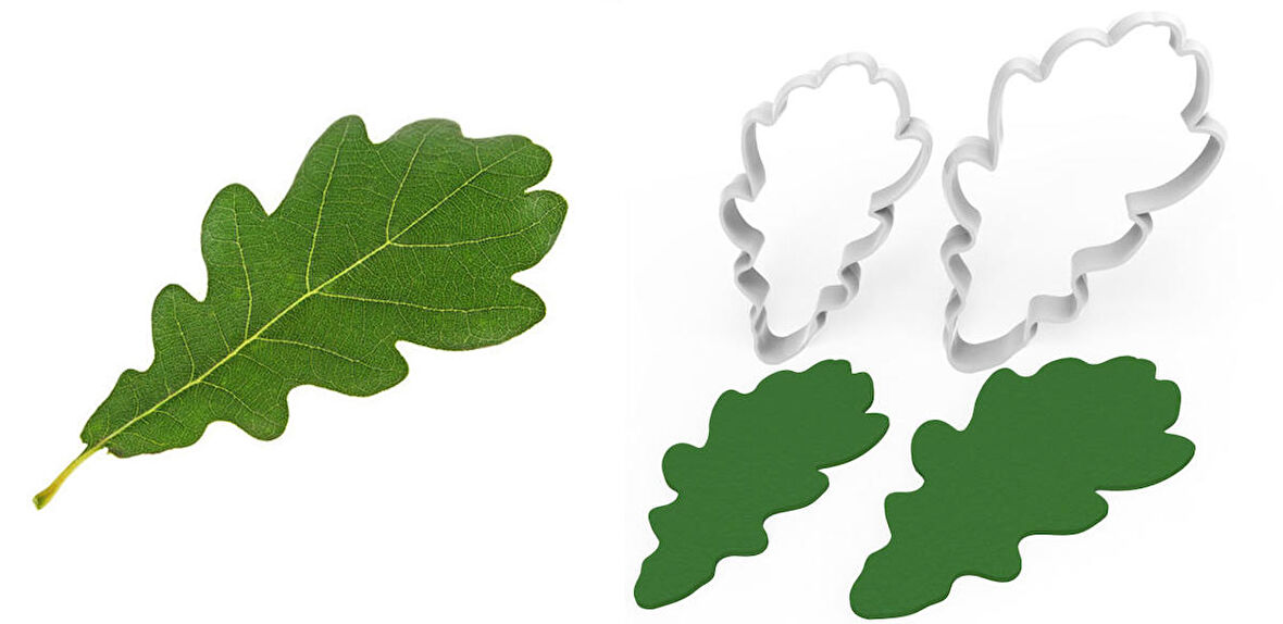 Meşe Yaprak Kesici Set 2’li – 6cm