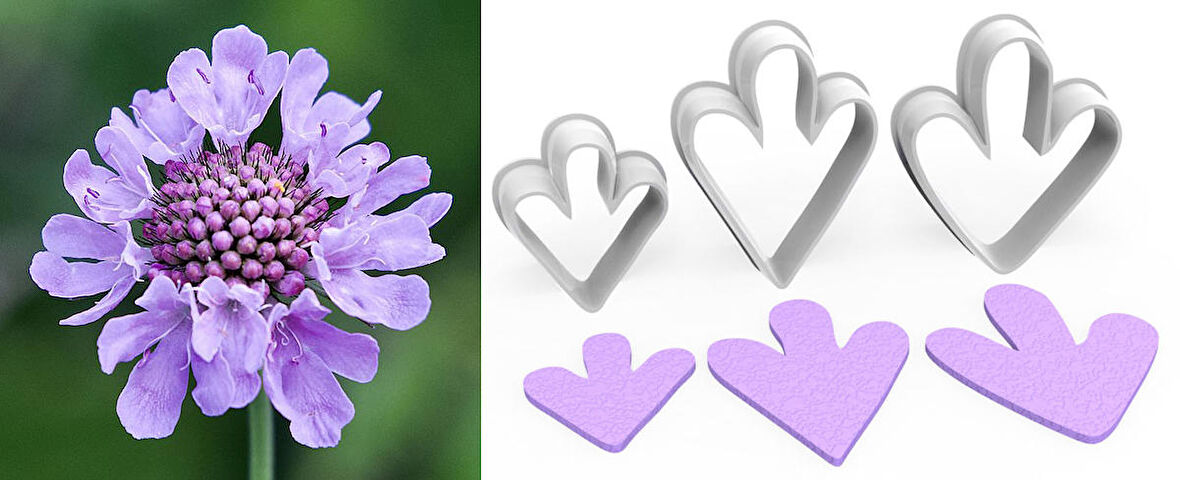 SCABIUS YAPRAK Kesici Set 3’lü – 3cm