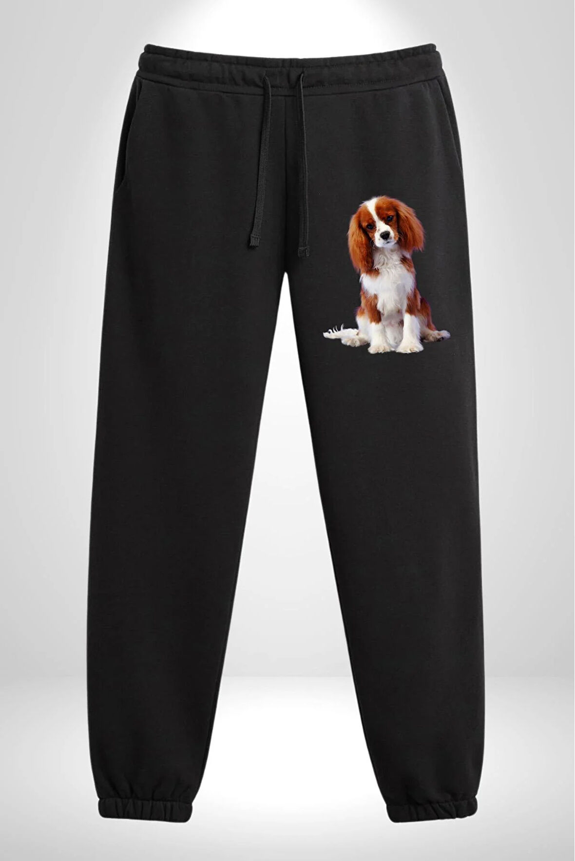 Cavalier King Charles Spaniel 3 İplik Erkek Baskılı Siyah Eşofman Altı