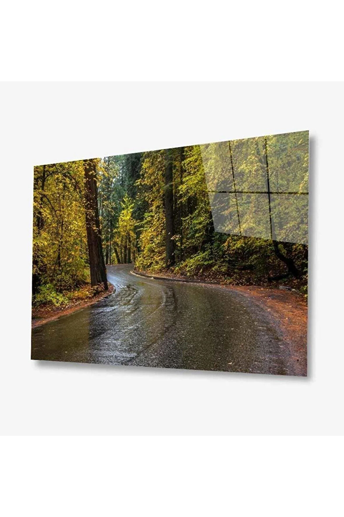 Doğa Cam Tablo 4mm Dayanıklı Temperli Cam