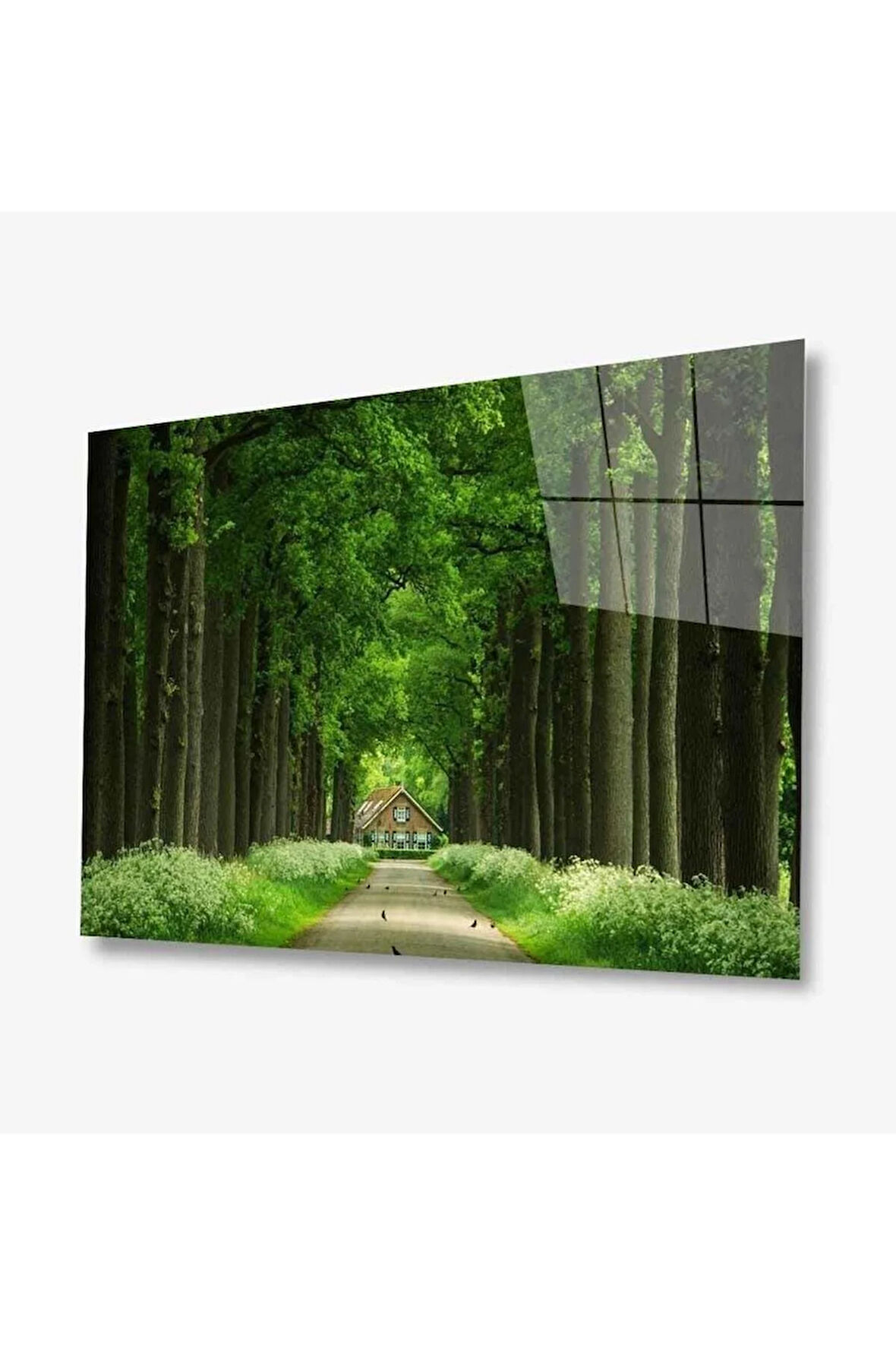 Doğa Cam Tablo 4mm Dayanıklı Temperli Cam