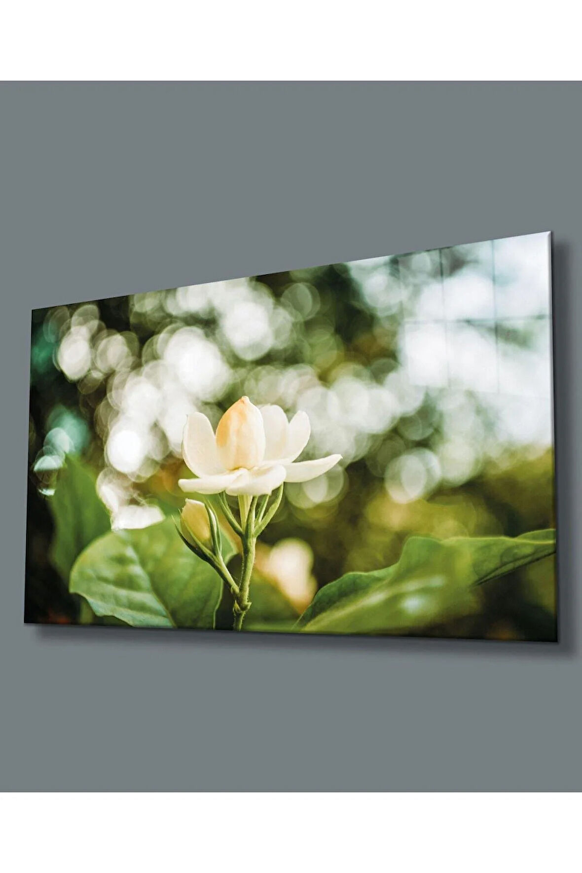 Çiçek Cam Tablo 4mm Dayanıklı Temperli Cam White flower Glass Wall Art