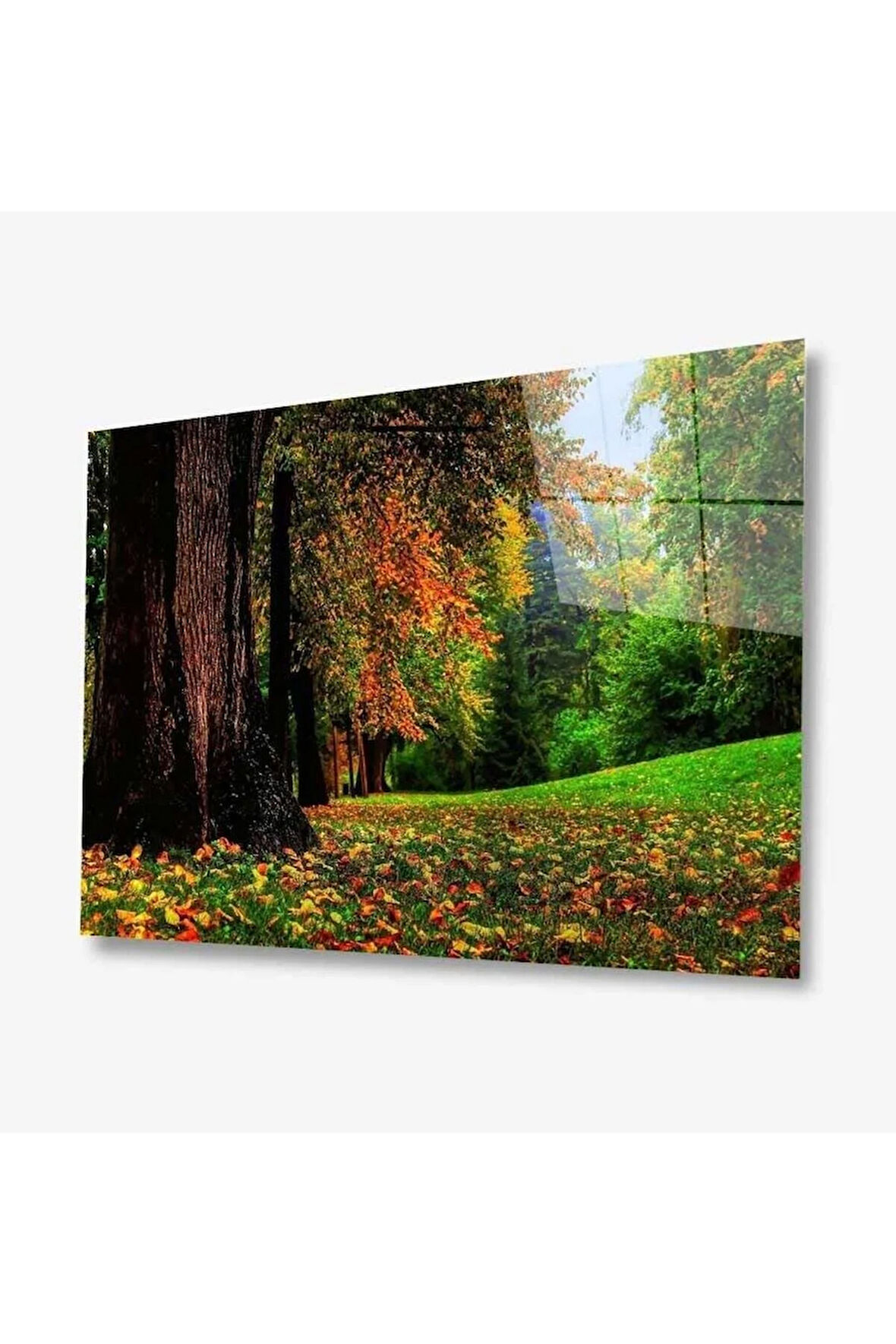 Doğa Cam Tablo 4mm Dayanıklı Temperli Cam