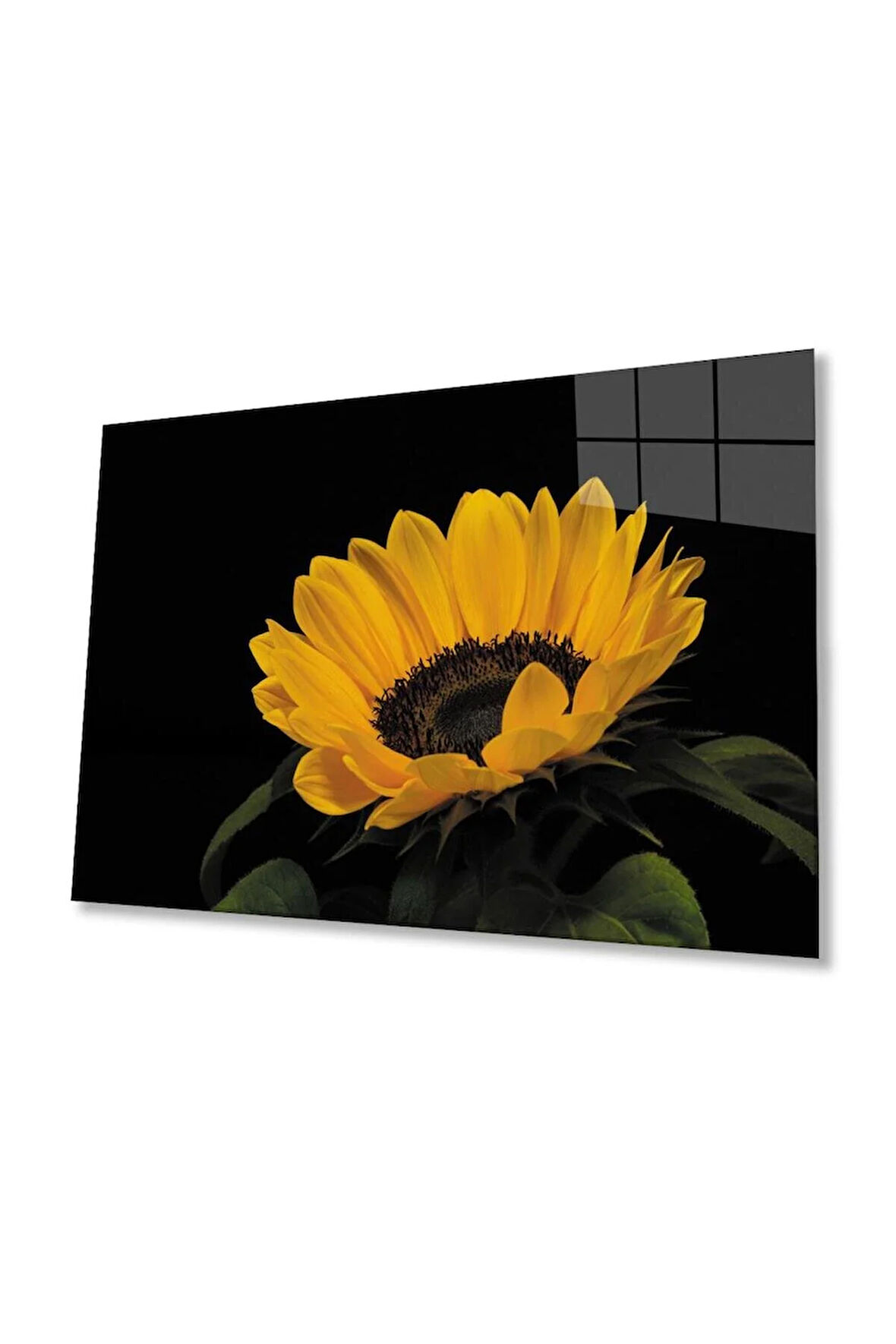 Ay Çiçeği Günebakan 4mm Dayanıklı Cam Tablo Temperli Cam , Sunflower Glass Wall Art