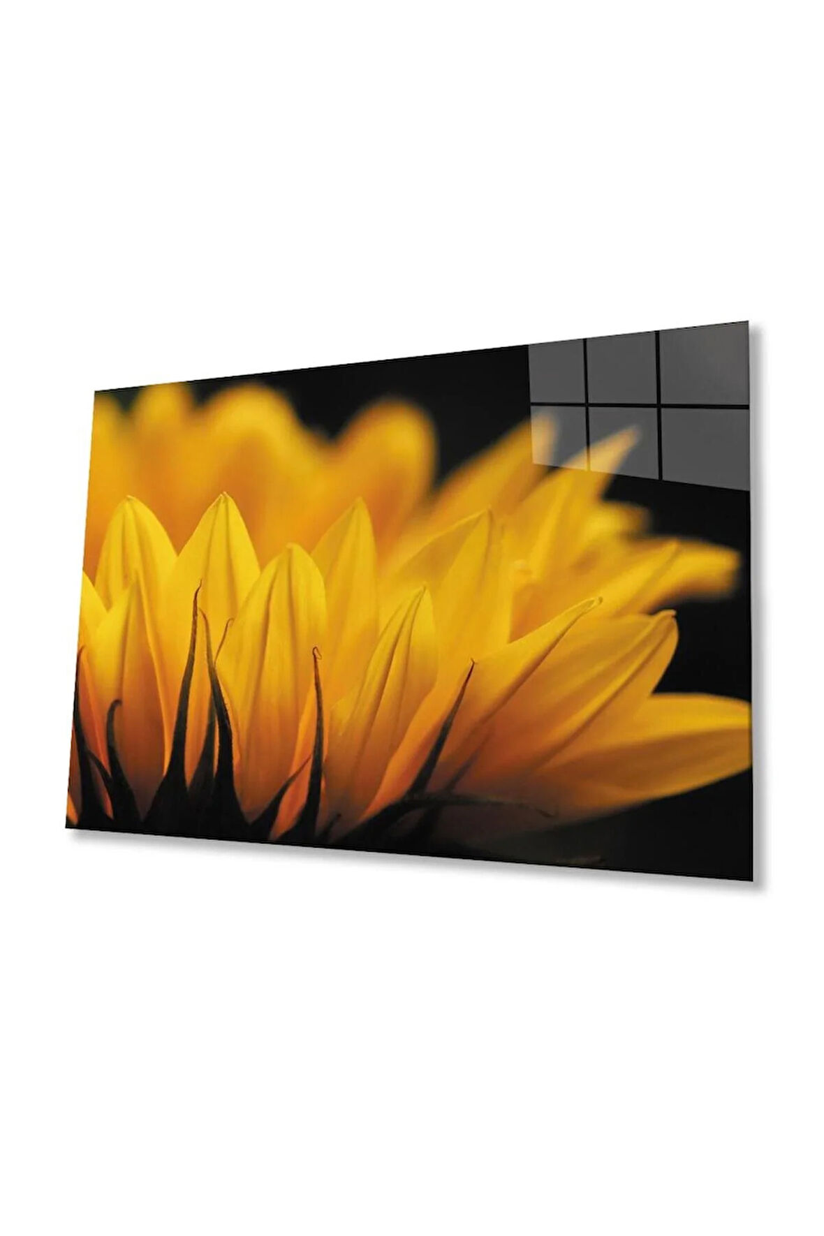 Ay Çiçeği Günebakan 4mm Dayanıklı Cam Tablo Temperli Cam , Sunflower Glass Wall Art