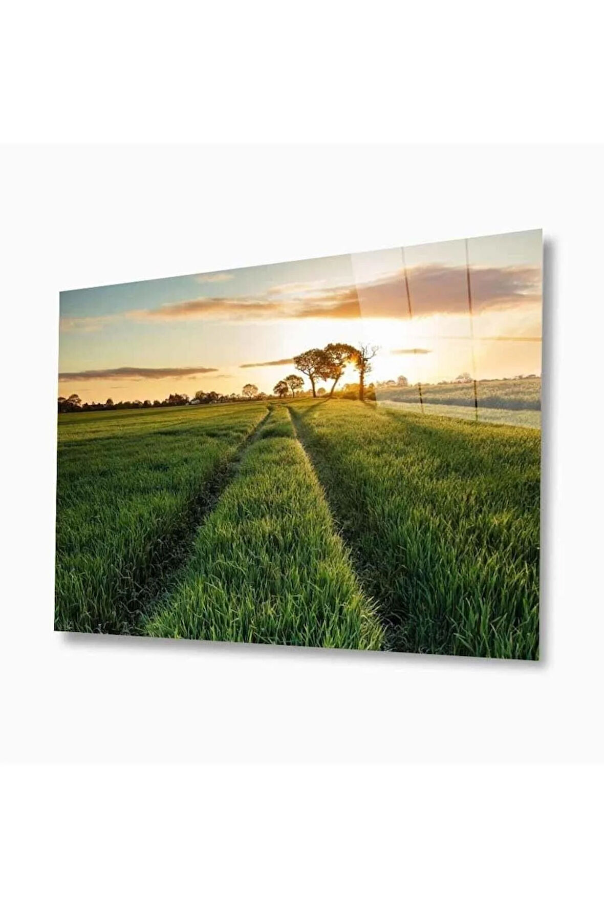 Doğa Cam Tablo 4mm Dayanıklı Temperli Cam