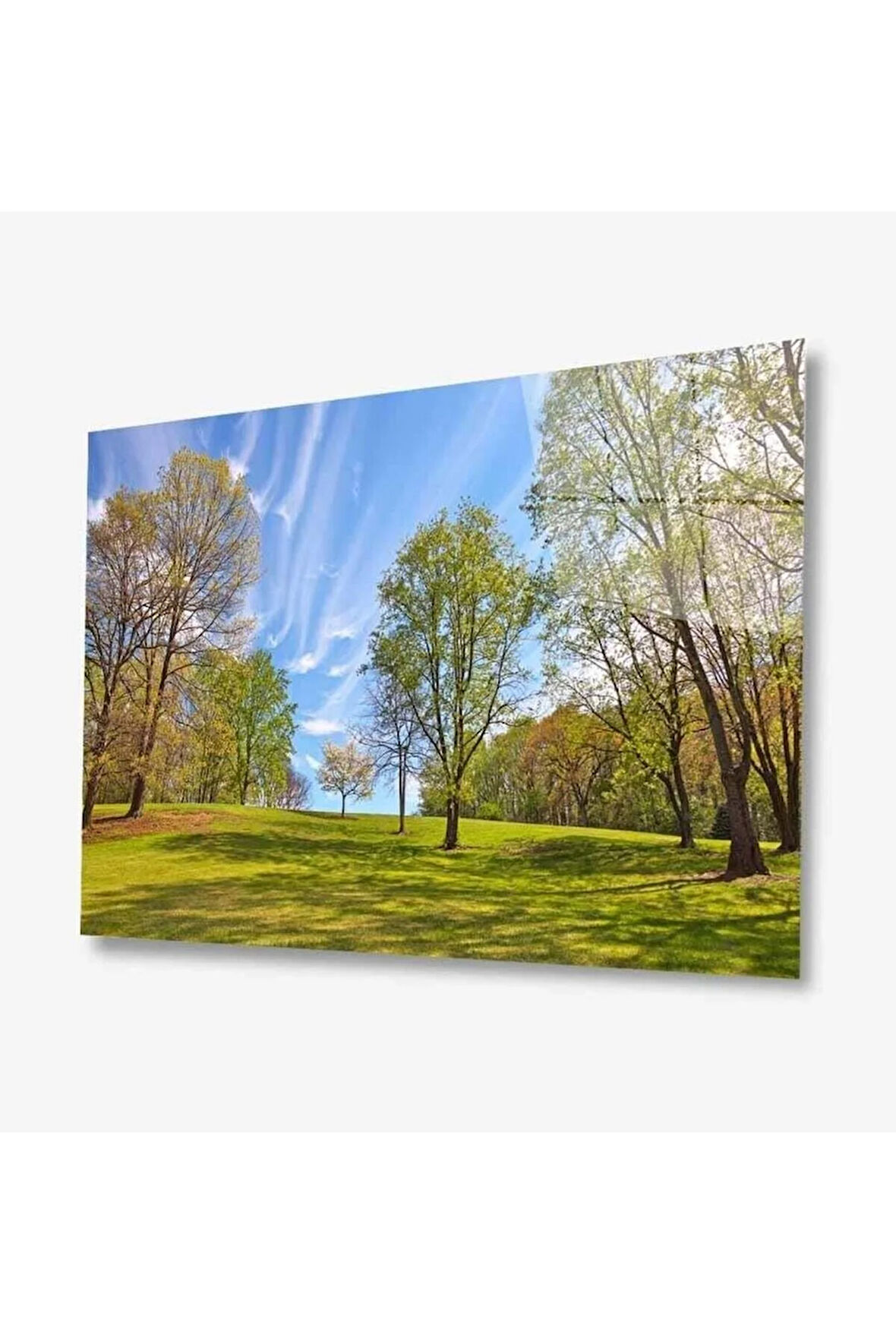 Doğa Cam Tablo 4mm Dayanıklı Temperli Cam