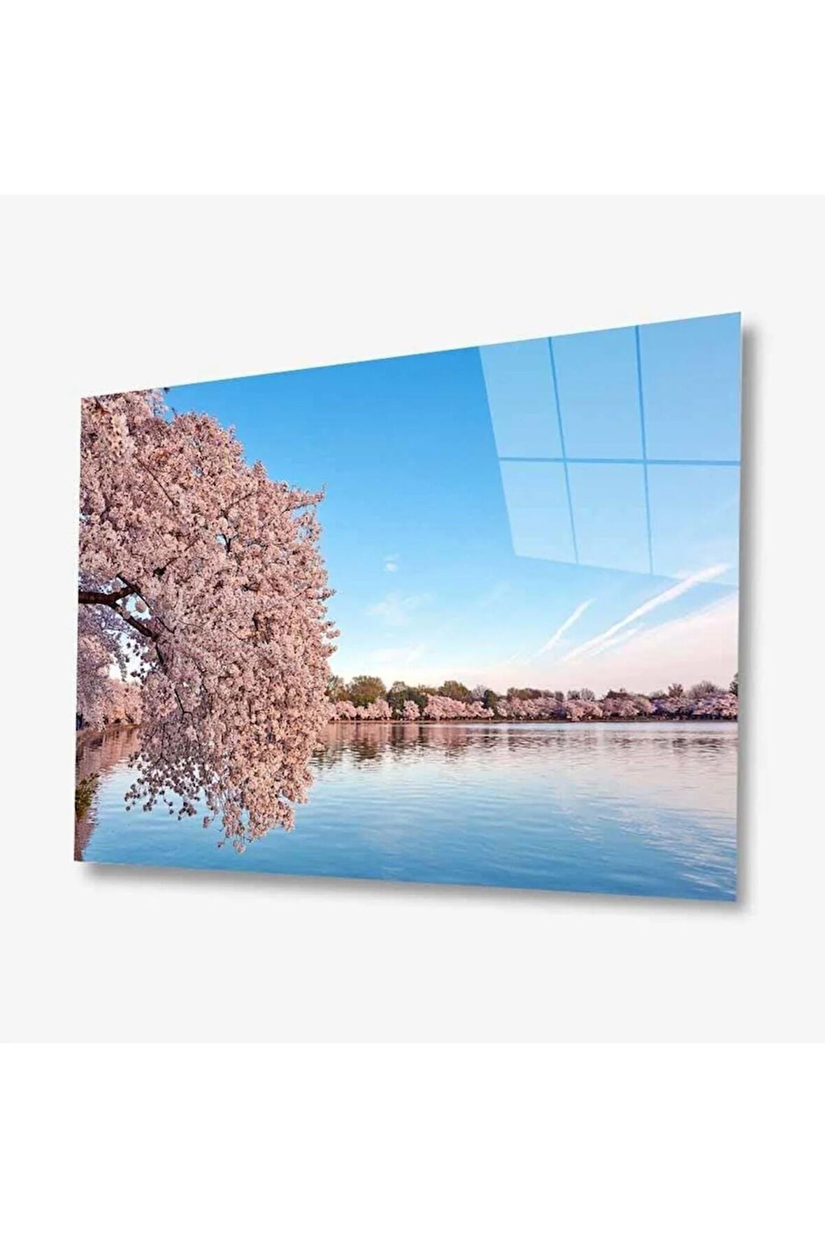 Doğa Cam Tablo 4mm Dayanıklı Temperli Cam