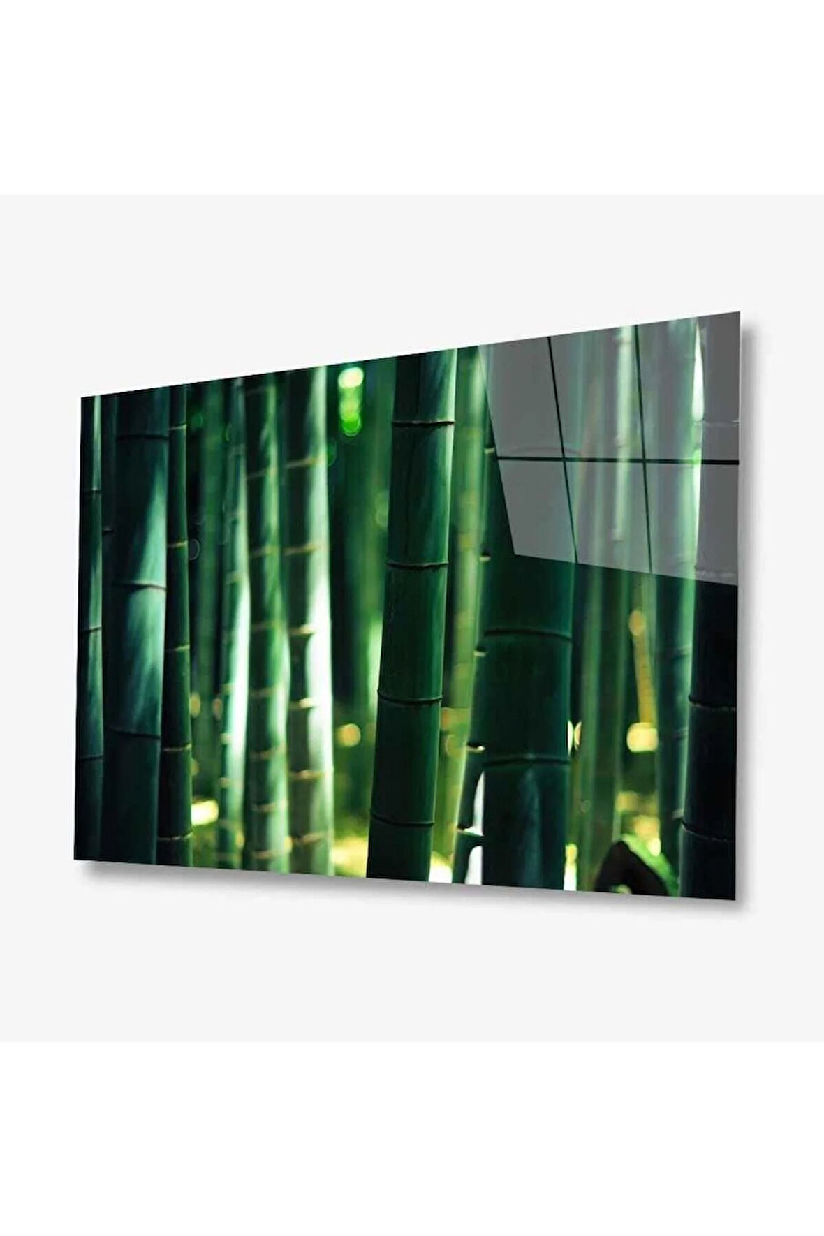 Doğa Cam Tablo 4mm Dayanıklı Temperli Cam