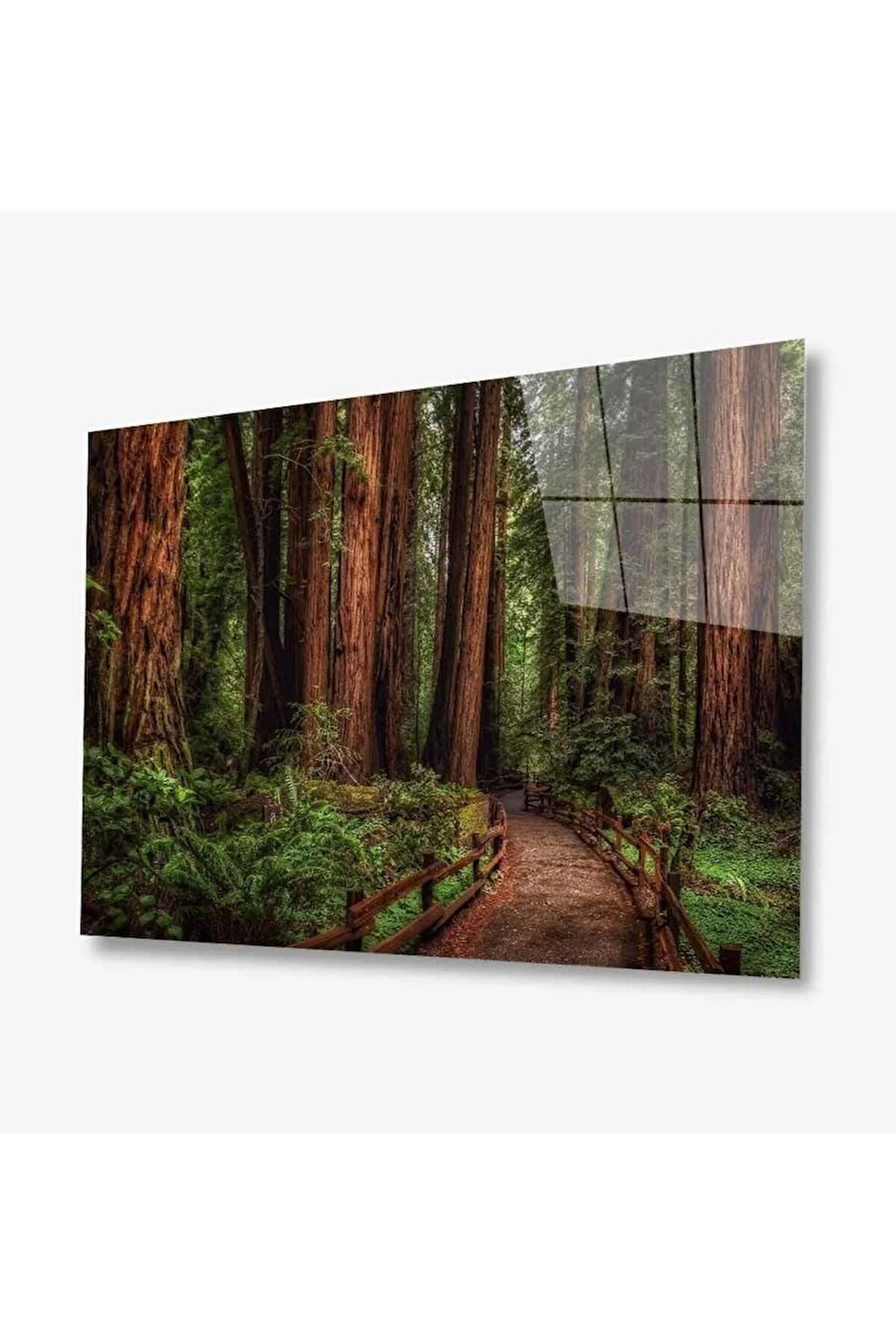 Doğa Cam Tablo 4mm Dayanıklı Temperli Cam