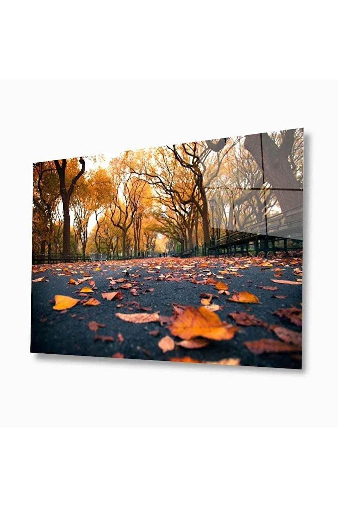 Doğa Cam Tablo 4mm Dayanıklı Temperli Cam