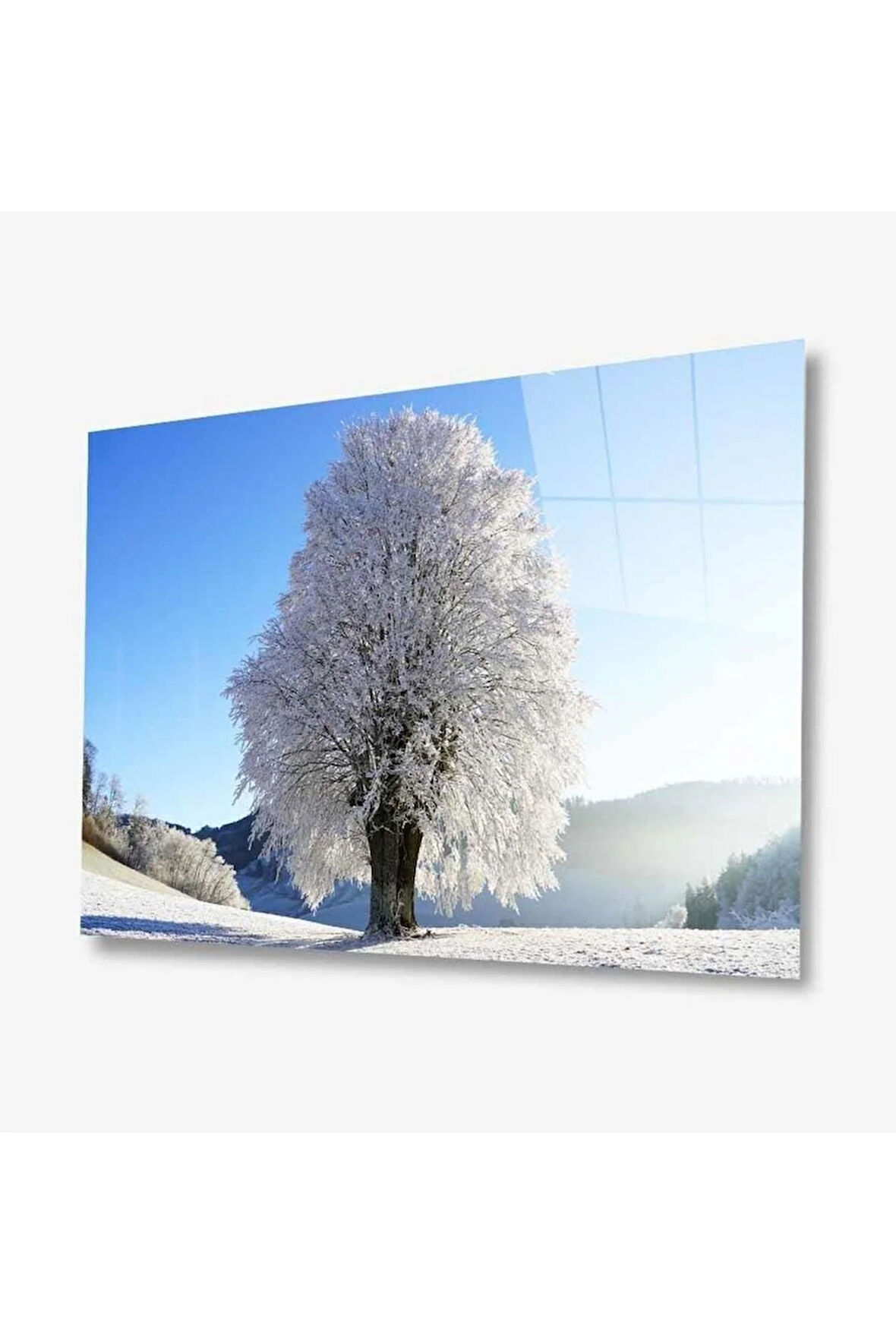 Doğa Cam Tablo 4mm Dayanıklı Temperli Cam