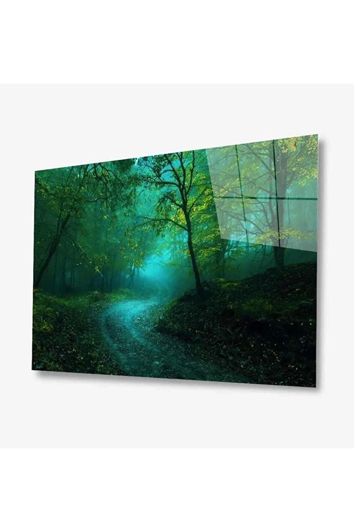 Doğa Cam Tablo 4mm Dayanıklı Temperli Cam