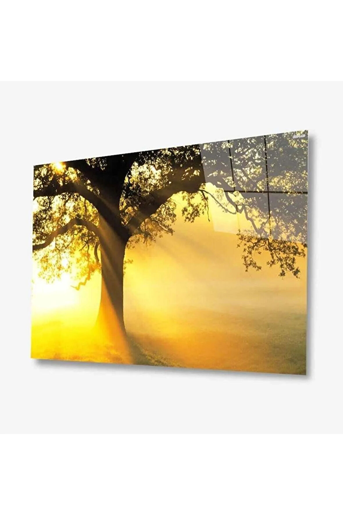 Doğa Cam Tablo 4mm Dayanıklı Temperli Cam