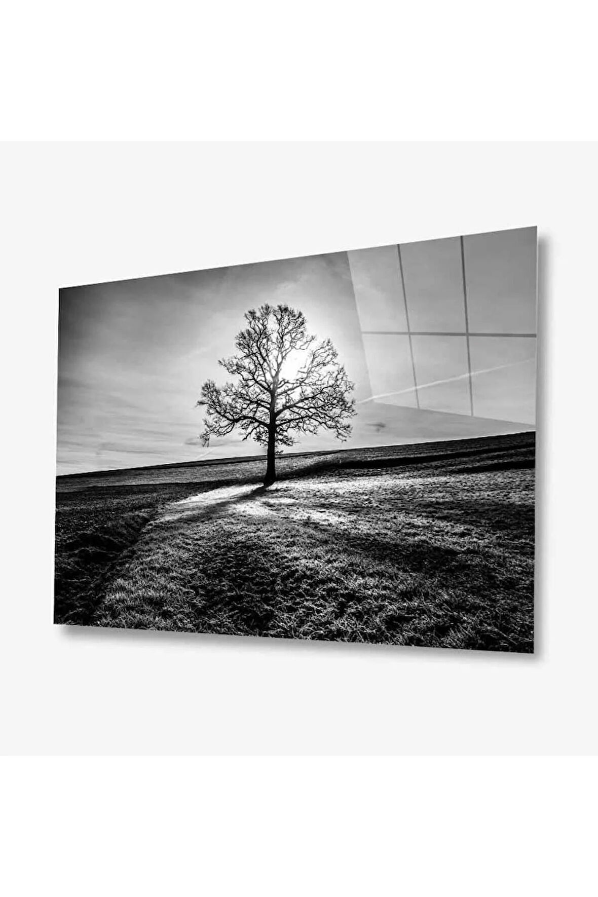 Doğa Cam Tablo 4mm Dayanıklı Temperli Cam