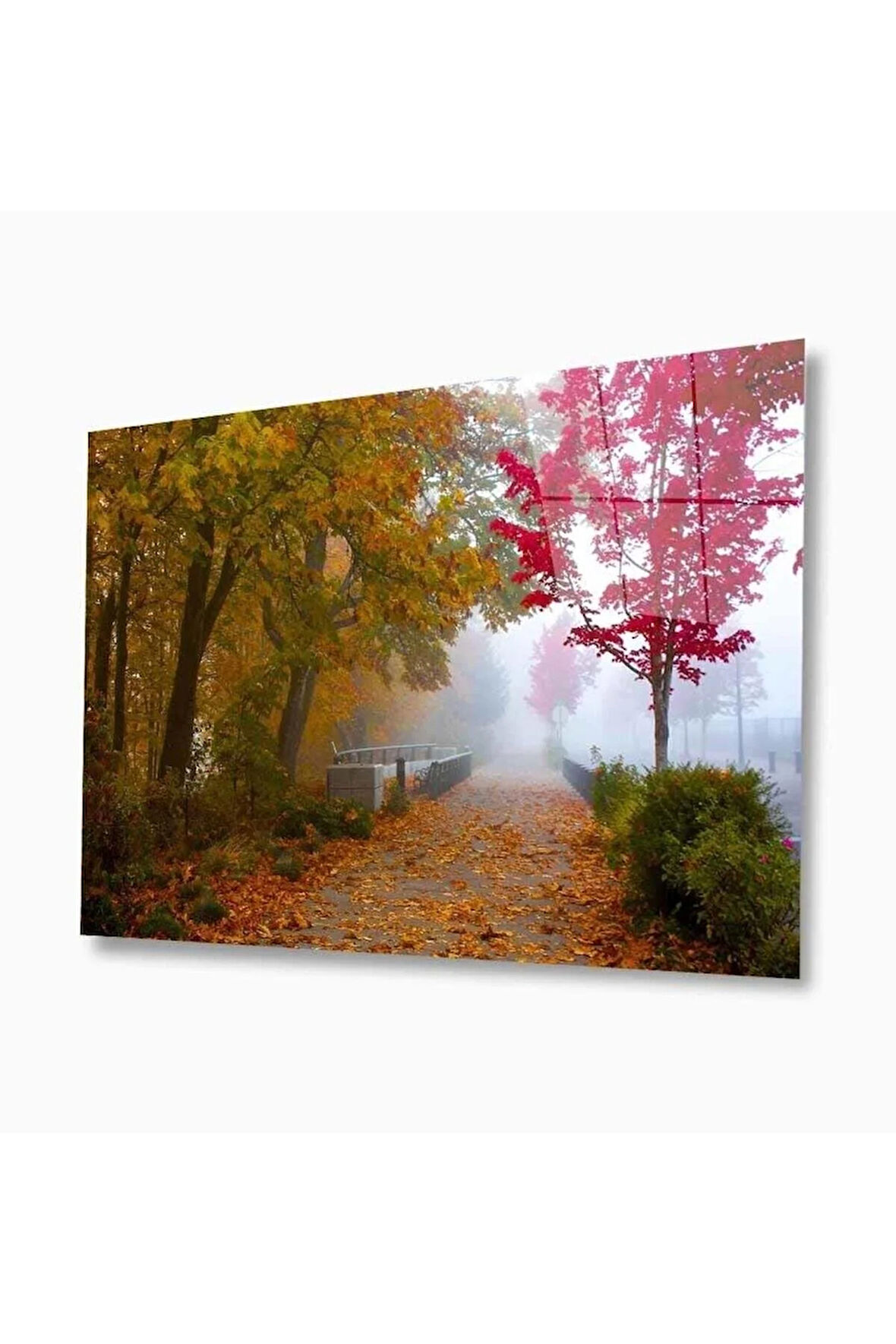 Doğa Cam Tablo 4mm Dayanıklı Temperli Cam