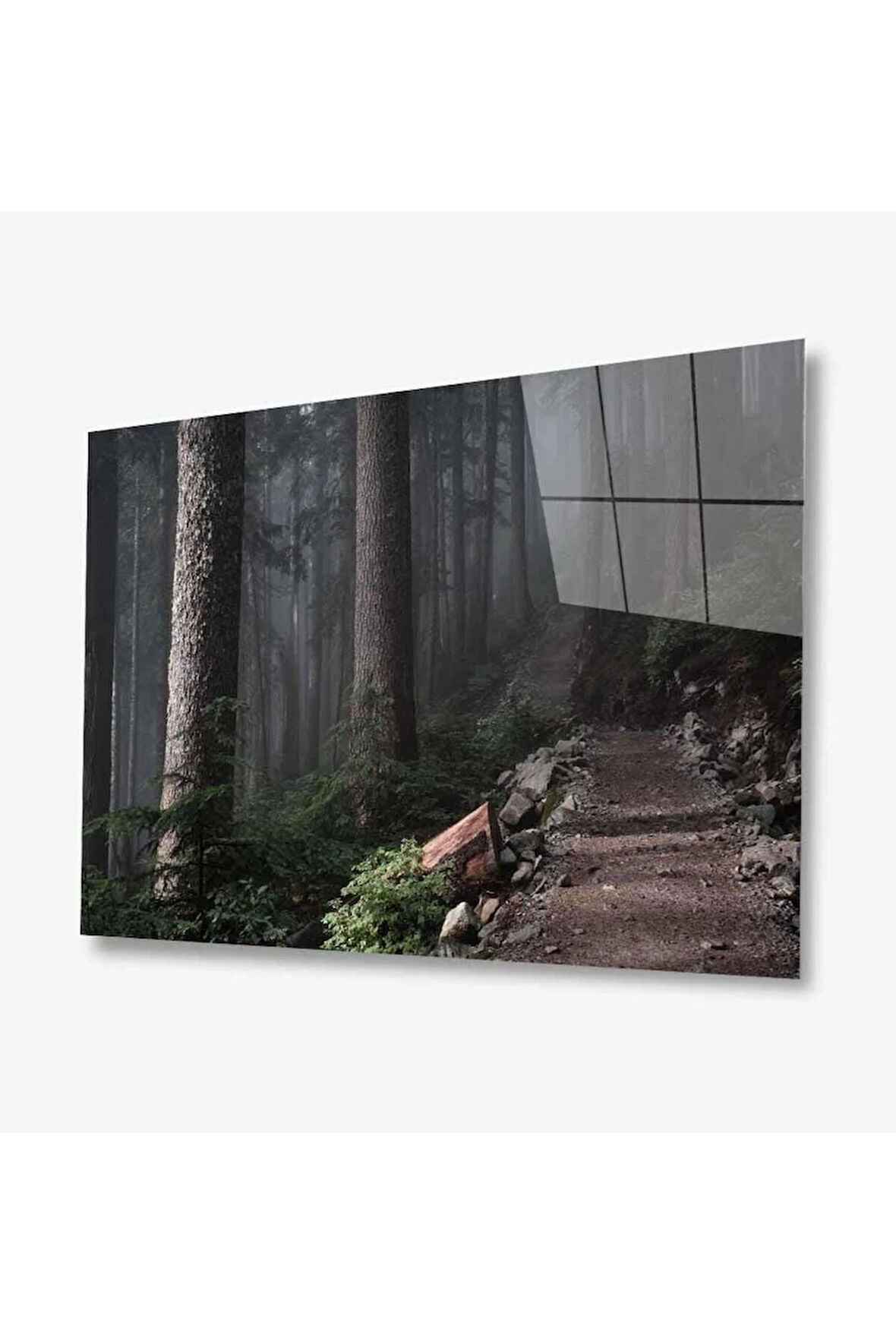 Doğa Cam Tablo 4mm Dayanıklı Temperli Cam