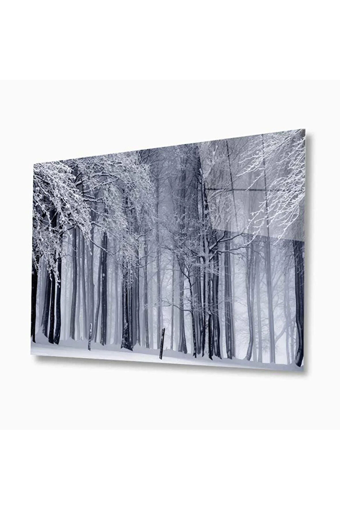 Doğa Cam Tablo 4mm Dayanıklı Temperli Cam