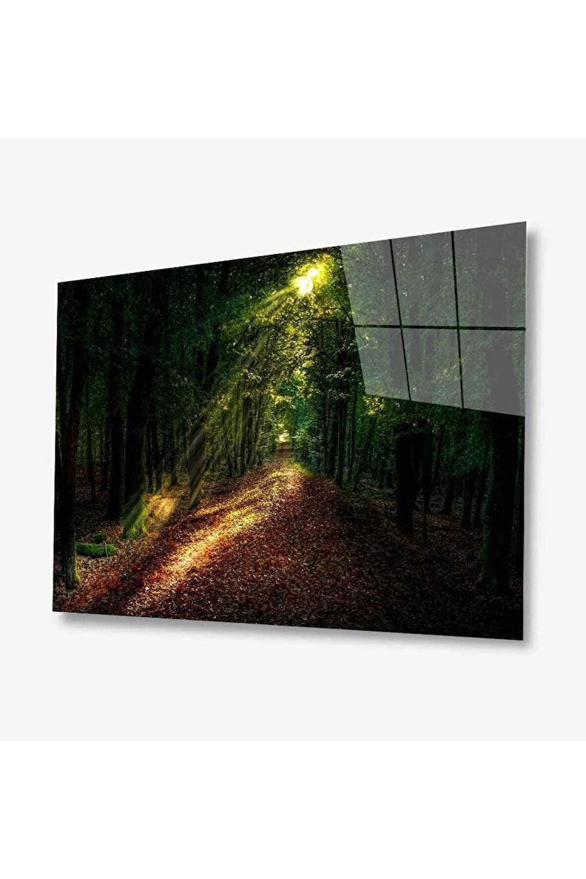 Doğa Cam Tablo 4mm Dayanıklı Temperli Cam