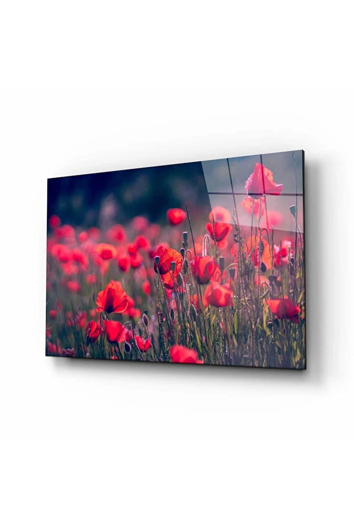 Doğa Cam Tablo 4mm Dayanıklı Temperli Cam