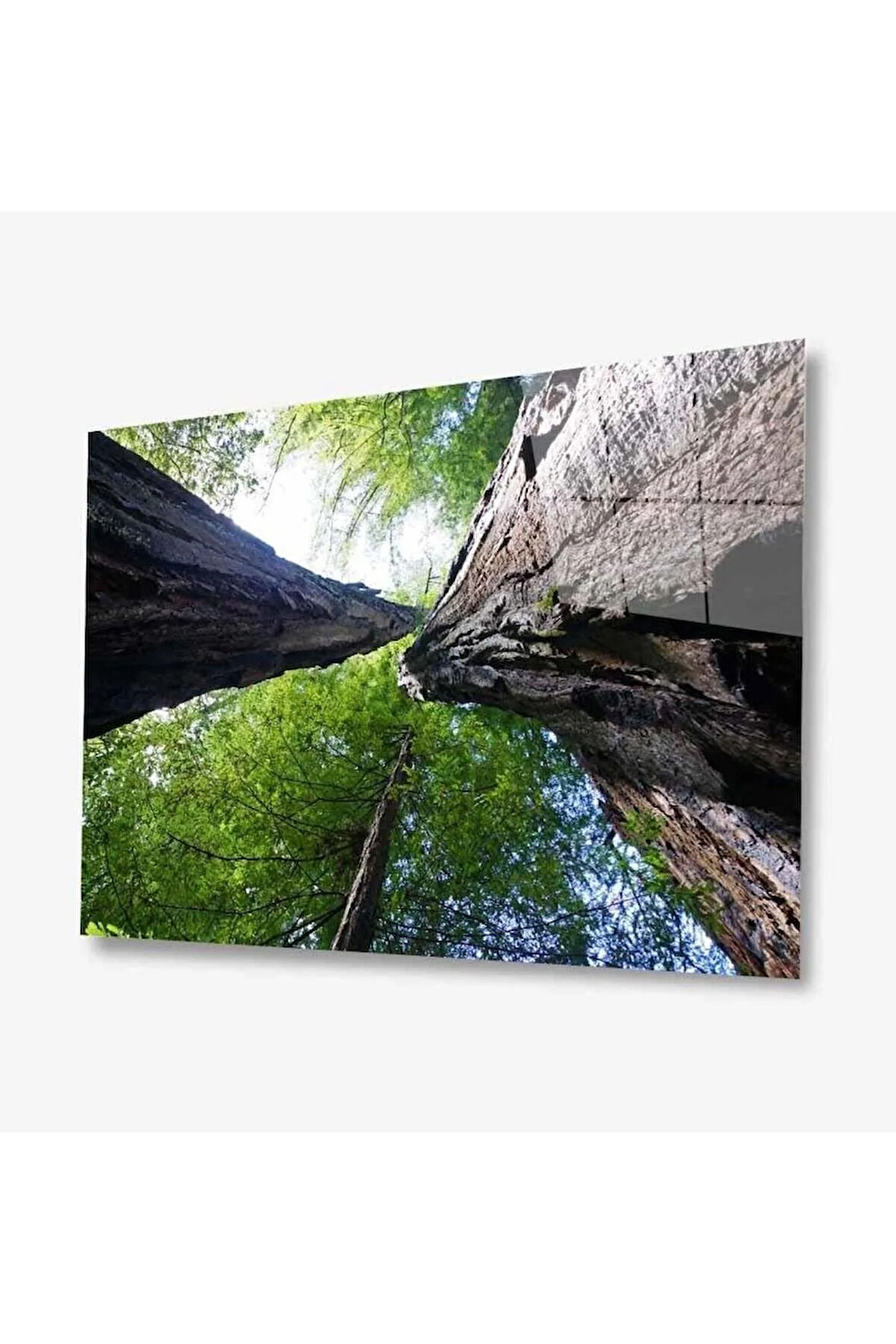 Doğa Cam Tablo 4mm Dayanıklı Temperli Cam